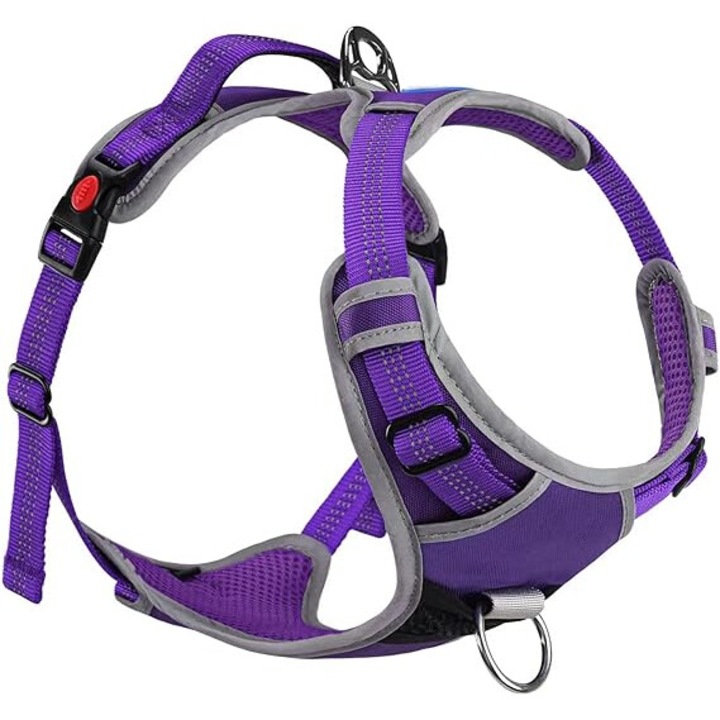 Kutyahám, ThinkPet, állítható, fényvisszaverő, XXL méret, lila