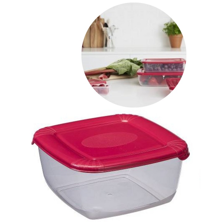 Хладилна кутия Plast Team POLAR BOX, 2.5L, прозрачна