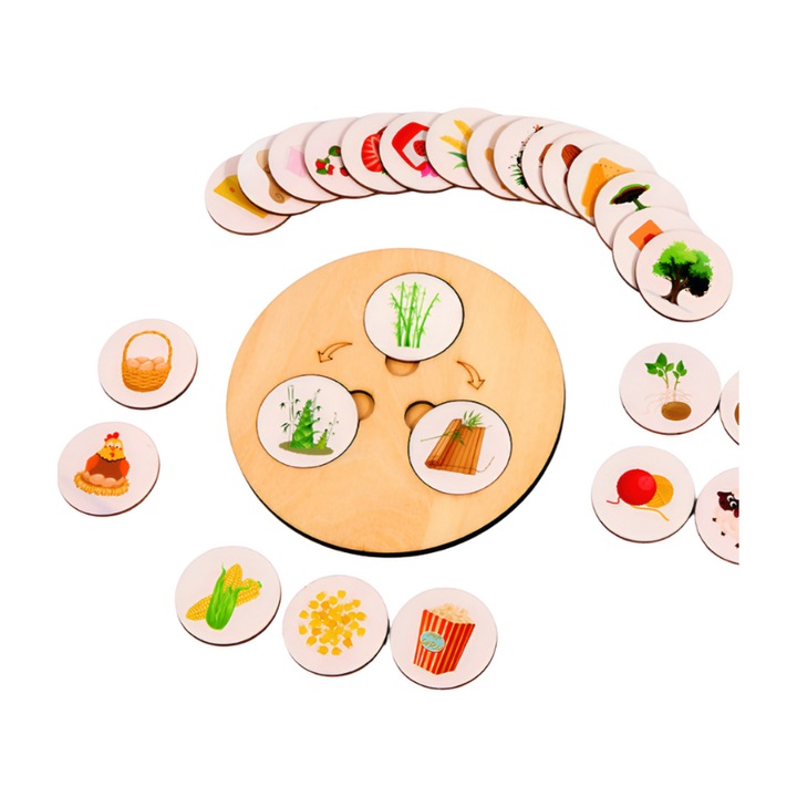 Montessori játék, életszakaszok, fa puzzle