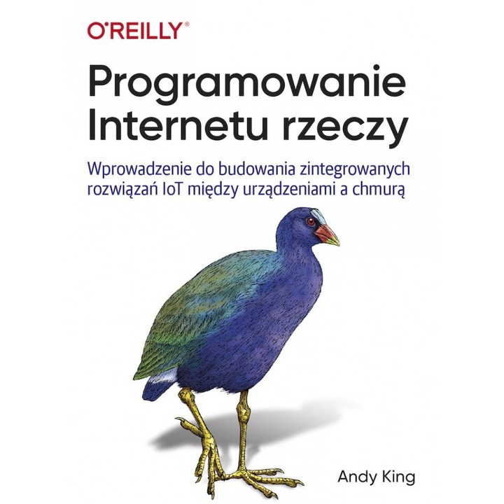Programowanie Internetu rzeczy, Andy King, 2021