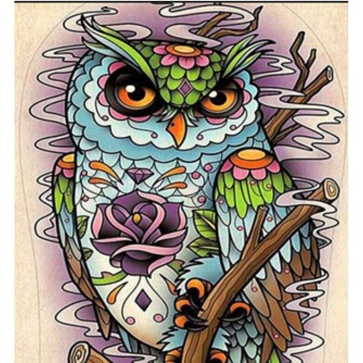 Set de Broderie cu Diamante 5D Norimpex, 30x40cm, Multicolor