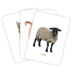 Carti De Joc Educative Primele Cuvinte Emag Ro