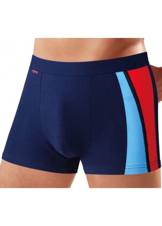 Boxeri barbati, Moraj