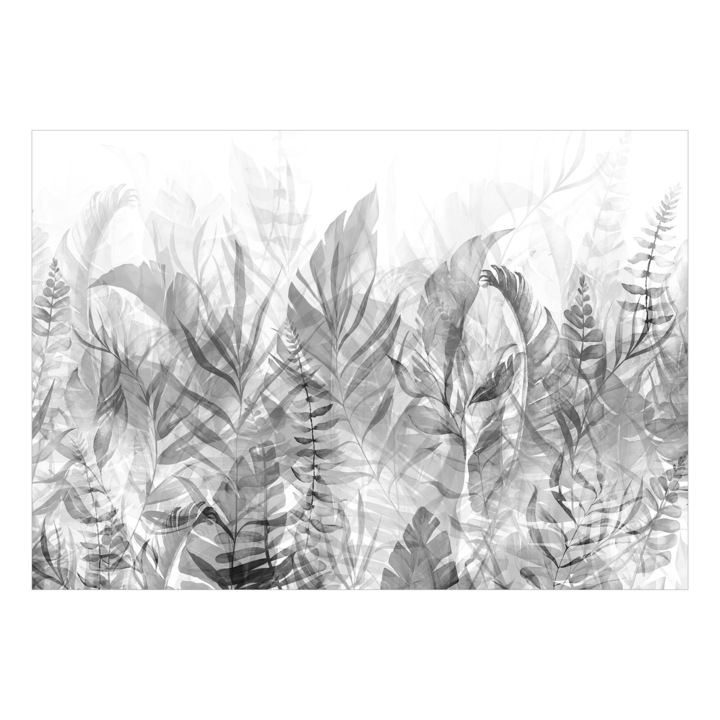 Fotótapéta Prémium - Varázslatos Liget (Fekete-Fehér) - 100 x 70 cm