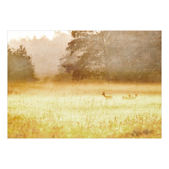 Fototapet Premium - Morning Dew - 450 x 315 cm