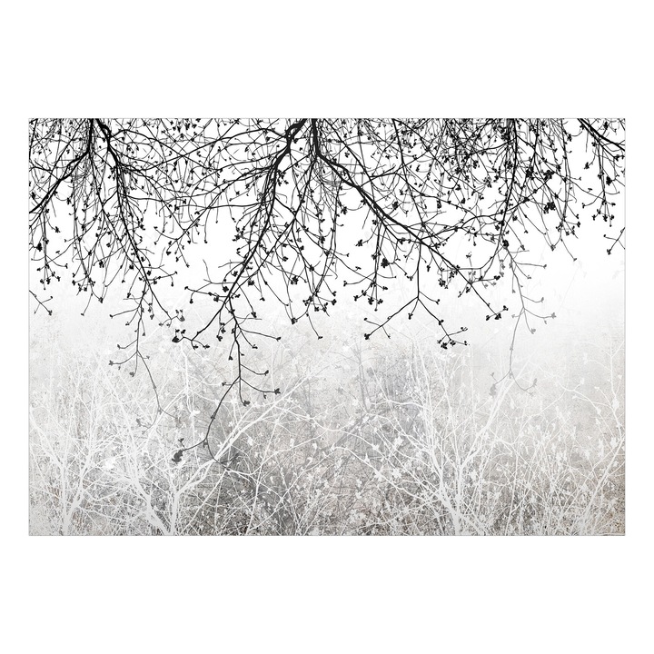 Prémium Fotótapéta - Természetes Fényerő - 100 x 70 cm