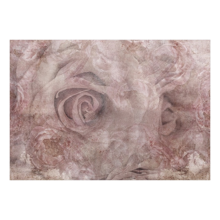 Fototapet Premium - Pink Thoughts - 450 x 315 cm