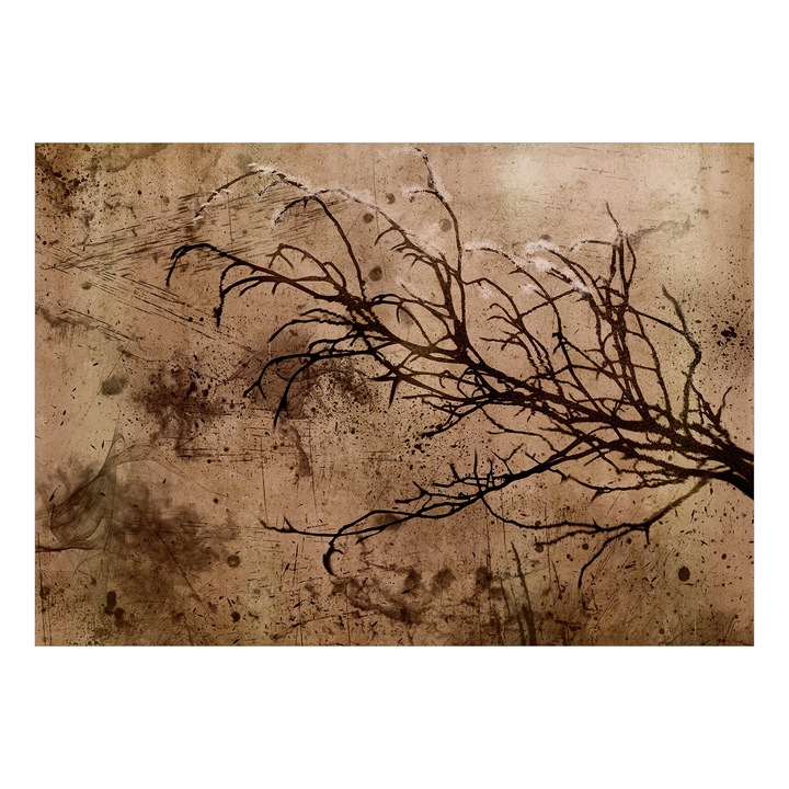 Prémium fotótapéta - Rickety Cherry Tree - 400 x 280 cm