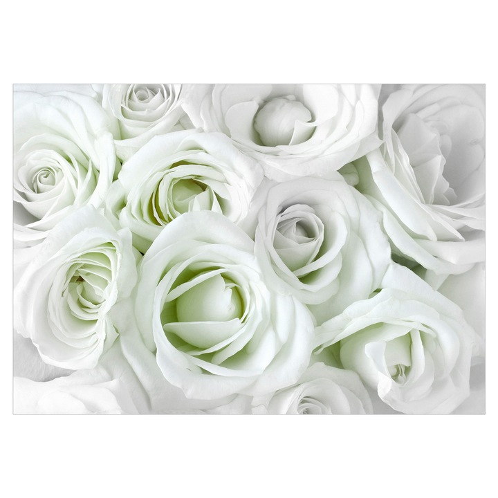 Fototapet Standard - Satin Rose (Green) - 250 x 175 cm