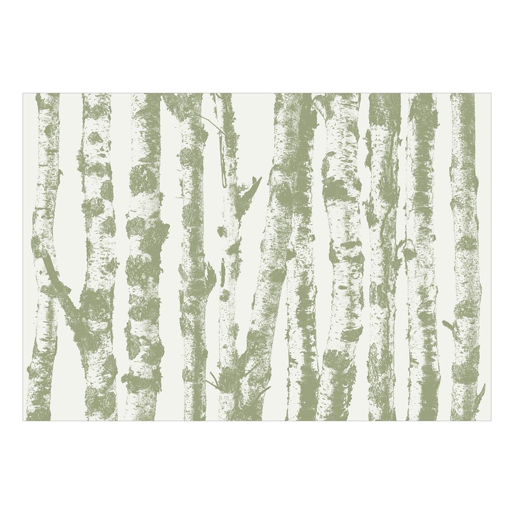 Fototapet Premium - Stately Birches - Third Variant - 450 x 315 cm