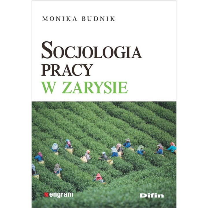 Socjologia pracy w zarysie, Monika Budnik, 2019
