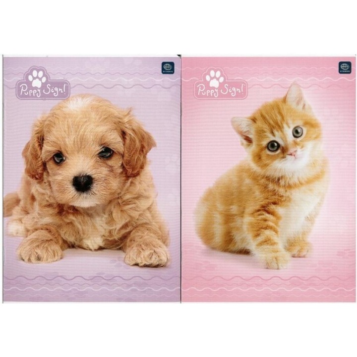 Комплект от 20 тетрадки А5, Interdruk, 16 листа, заоблени ъгли