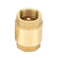 Supapa de sens cu obturator de alama, SINBINTA, DN25, Diametru 1", Rezistent la coroziune si uzura, Usor de utilizat, Anti rugina, Fara decolorare, Durata lunga de viata, Pentru chimie, Constructii, Petrol
