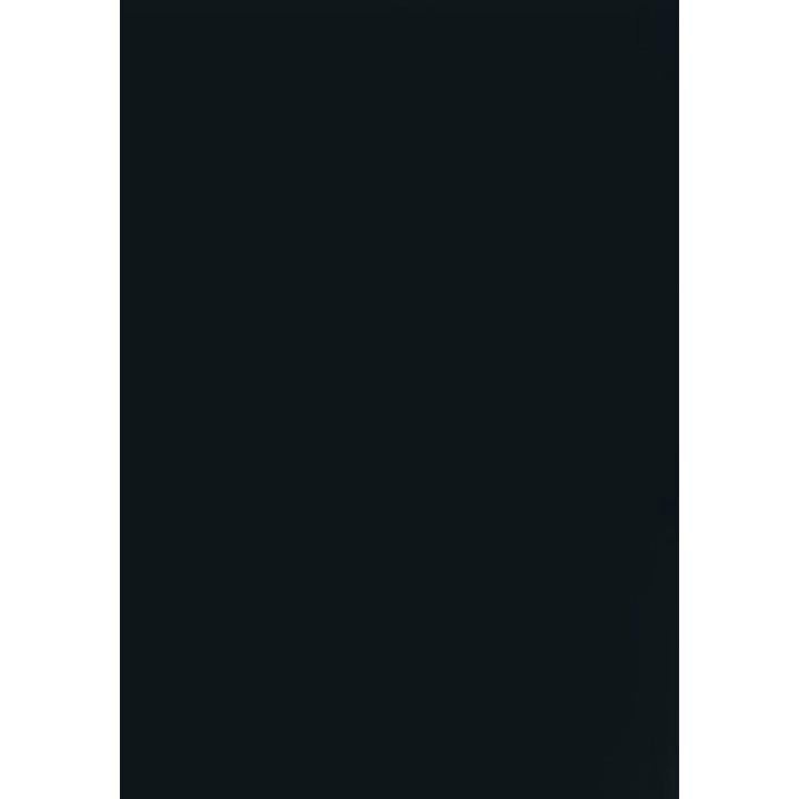 Folie Vinil Siser EasyWeed P.S. Film HTV, A4, Culoarea Black