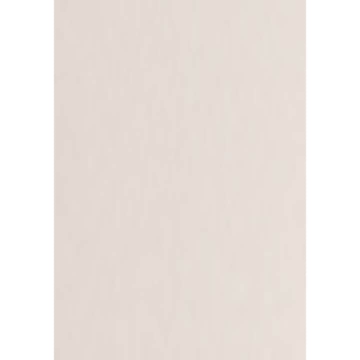 Folie Vinil Siser EasyWeed P.S. Film Electric HTV, A4, Culoare Alb