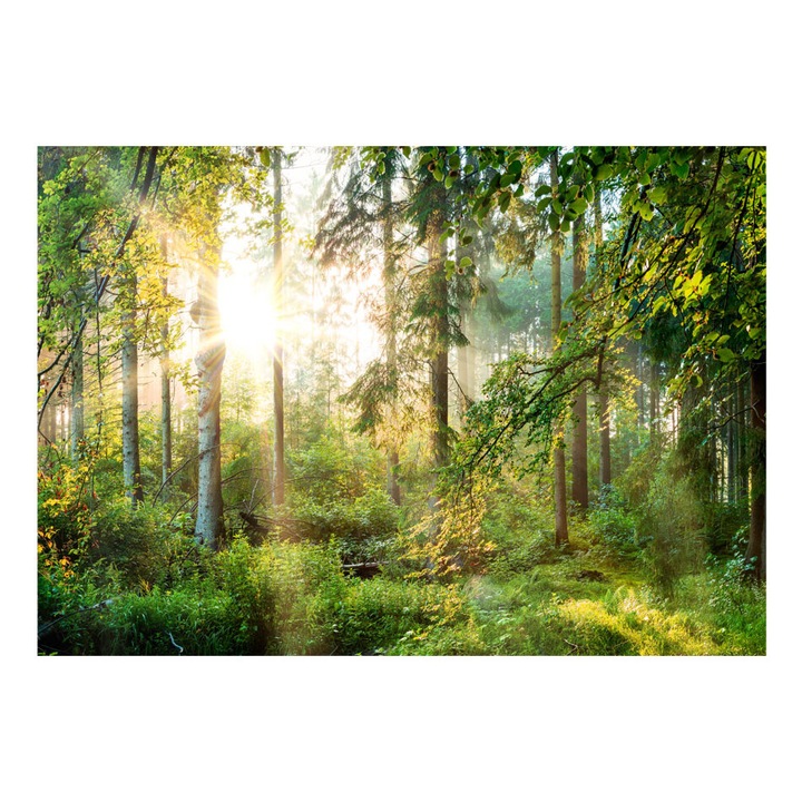 Fotótapéta Standard - Féktelen természet - 300 x 210 cm