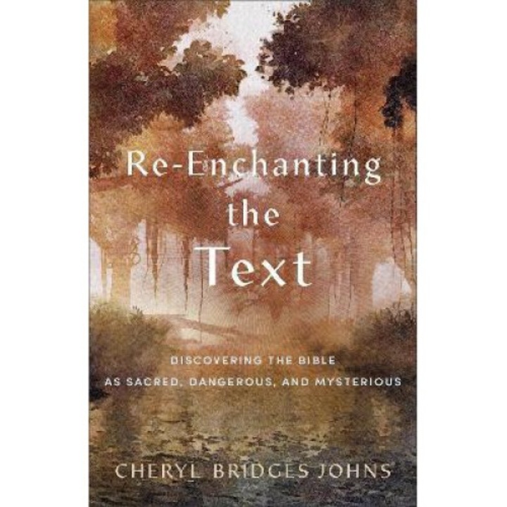 Re-enchanting The Text: Discovering The Bible As Sacred, Dangerous, And Mysterious - Cheryl Bridges Johns