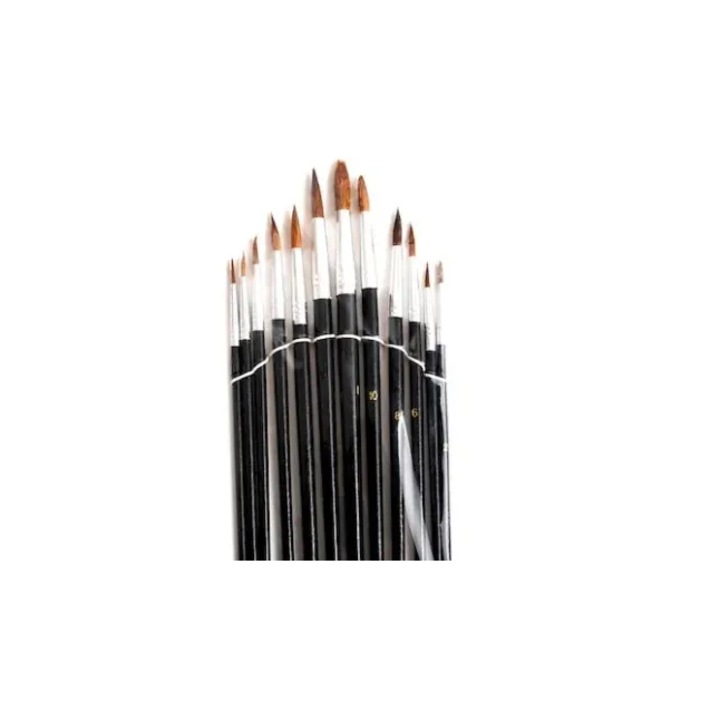 Set Pensule Pictura 12 buc