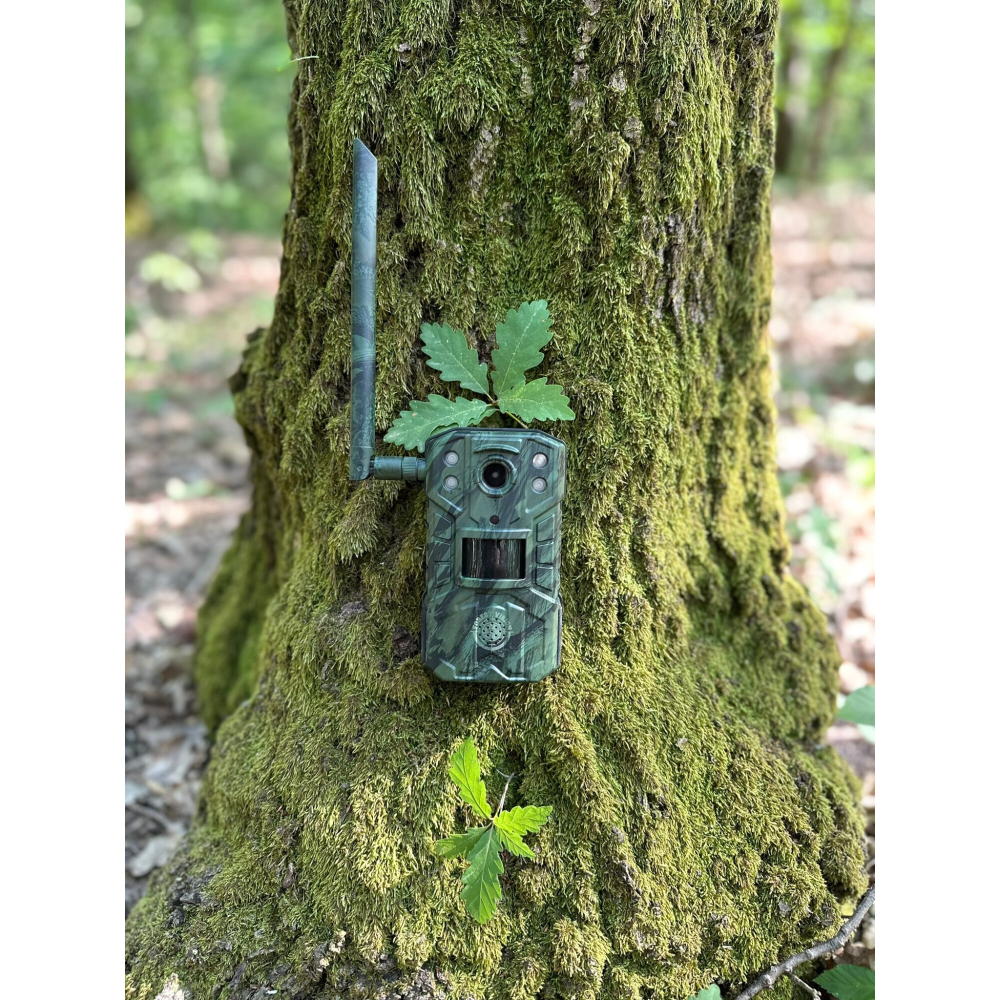 Camera Vanatoare Forestvision Live C1 2024 4G 20Mp cu acumulatori