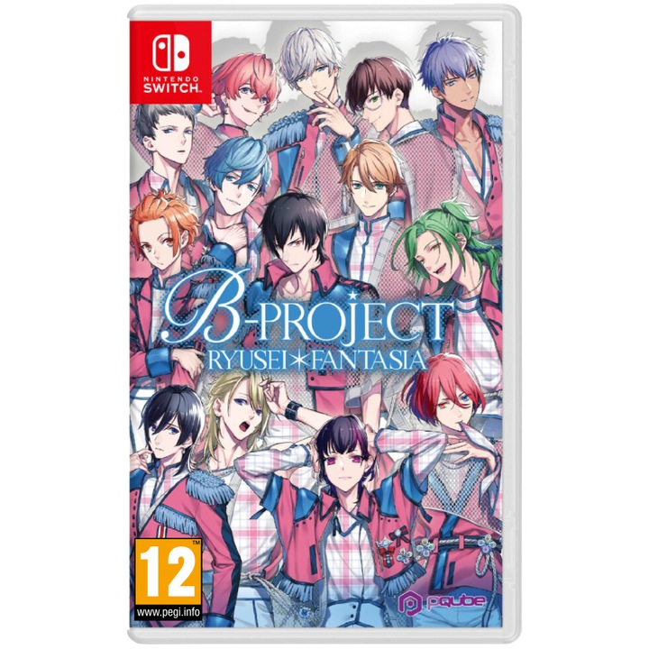 B Project Ryusei Fantasia Nintendo Switch Játékszoftver