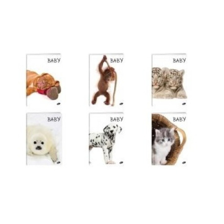 20 db A5 füzet, Elisa Baby Mix, 32 lapos, fűzött, 164x213mm