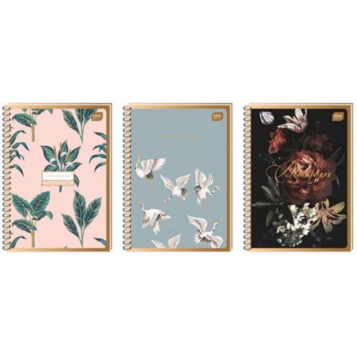 10 db A4-es füzet szett, Interdruk, Satin Gold, 50 lapos, kockás, perforált, 301x236 mm