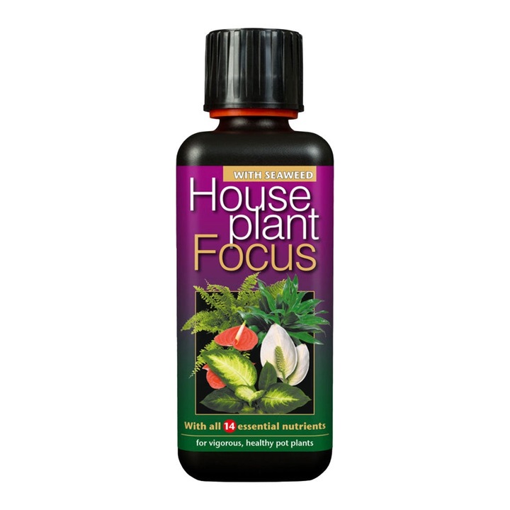 Тор за стайни цветя Growth Technology Houseplant Focus, 1 Л., Концентрат