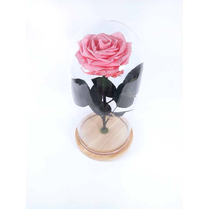 Trandafir criogenat Premium roz pastel in cupola de sticla,25cm