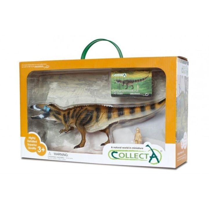 Статуетка на динозавър Carcharodontosaurus, Collecta, 353x223mm, +3 години
