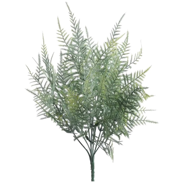 Fir Feriga Asparagus 36cm SF8403