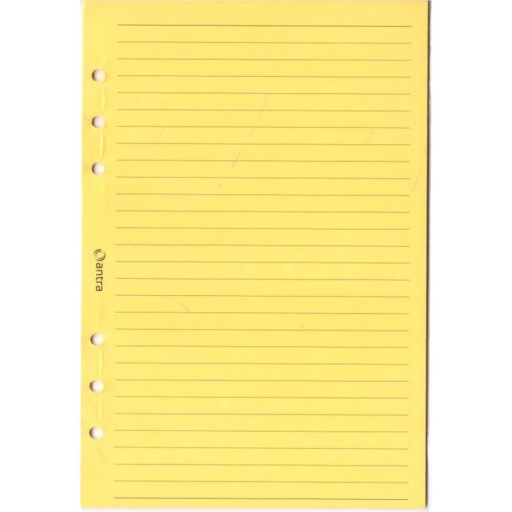 Rezerve pentru organizator A5 Antra, linie galbena, 20 file, 210x144mm