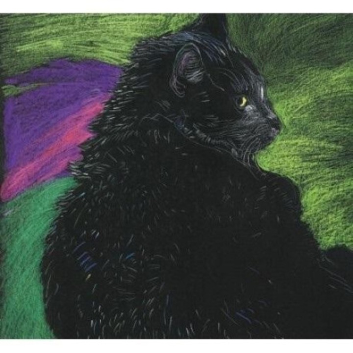 Caiet EMG, colectia 2023, motiv pisici, 170x170 mm