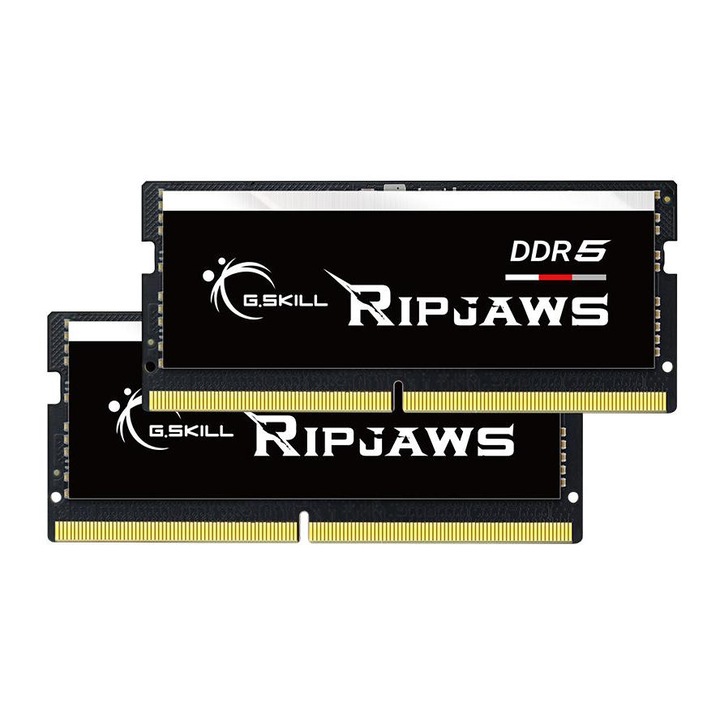 G.Skill 64GB / 4800 Ripjaws DDR5 Notebook RAM KIT (2x32GB) (CL40) (F5-4800S4039A32GX2-RS)