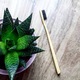 Periuta de dinti din bambus, biodegradabila, pentru adulti, duritate medie, Negru, Planet Bamboo