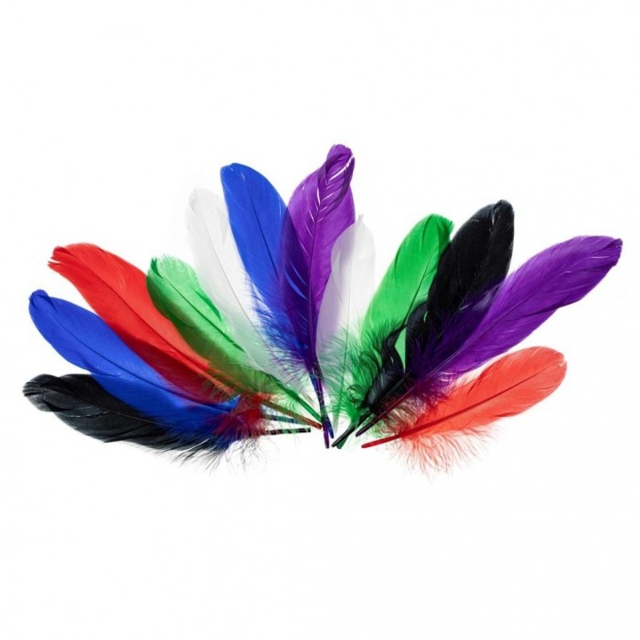 Set Pene Decorative Brewis, 15-20cm, Multicolor, 240x122 mm