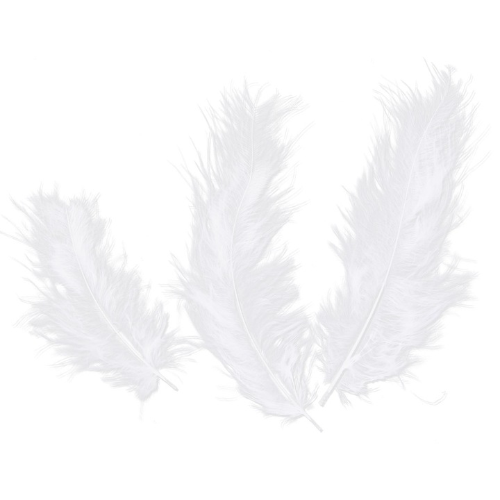 Set 50 Pene Decorative, QttvbTna, Pene Curcan, 10-15 cm, Alb