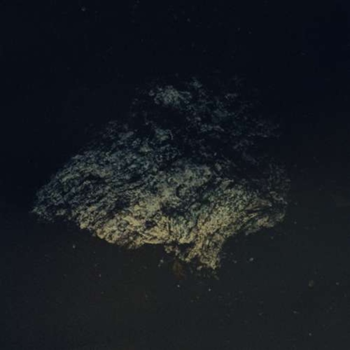 Multicast Dynamics - Lost World (CD)