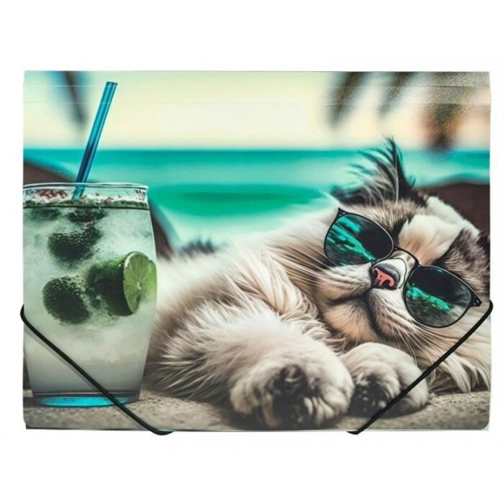 Dosar A4, Panta Plast, Chillout Cat, 318x256 mm
