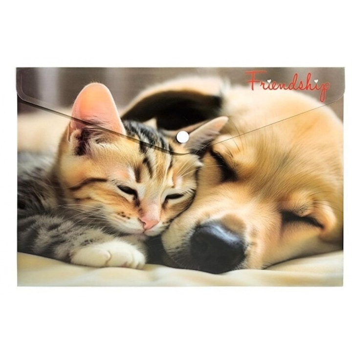 A4-es boríték Panta Plast Friendship, polipropilén, 331x246 mm