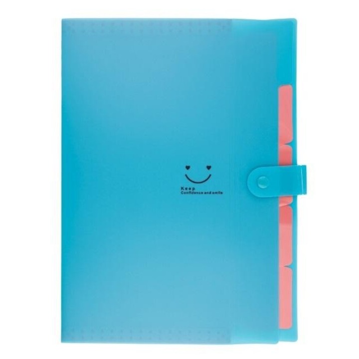 Mapa plastic A4, Beniamin, 5 compartimente, 330x240mm