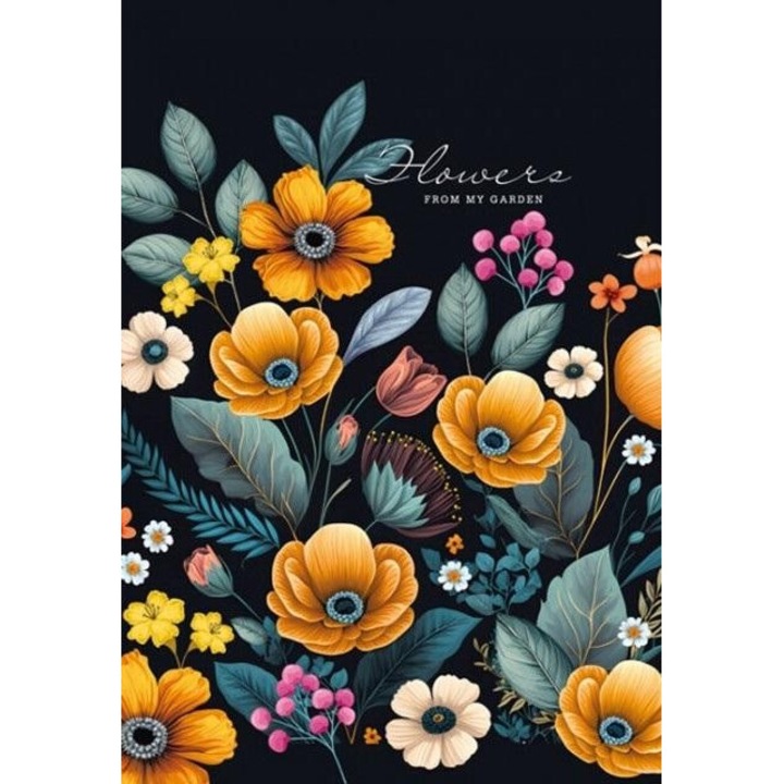 Caiet 64 file, Fresh, Carton/Hartie, Cu model, Multicolor