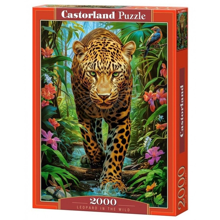 Puzzle, Castorland, 2000 db, 92x68cm
