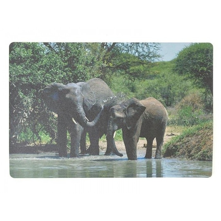 Adar irodai egérpad, elefántok, hab, 60x40cm