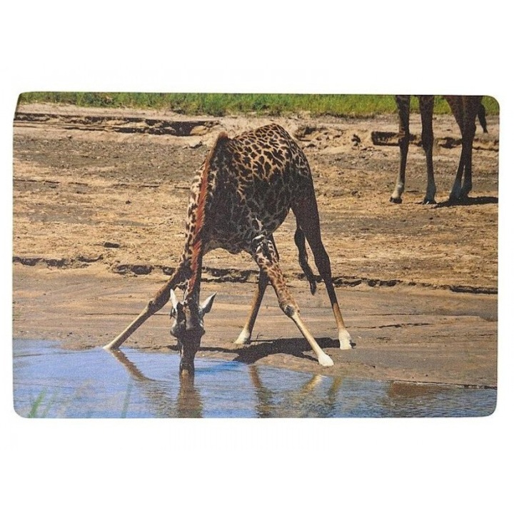 Adar asztali egérpad, zsiráfmintás, többszínű, 60x40cm