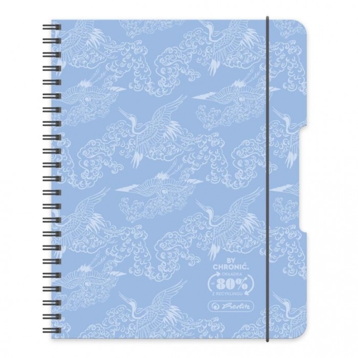 Set 2 caiete spirala A4, Herlitz, Eco PP Pastel, 80 file, carouri, albastru, 297x240 mm