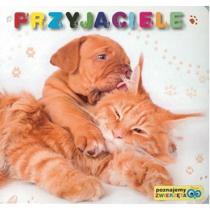 Poznajemy zwierzeta - Przyjaciele, praca zbiorowa, 2013