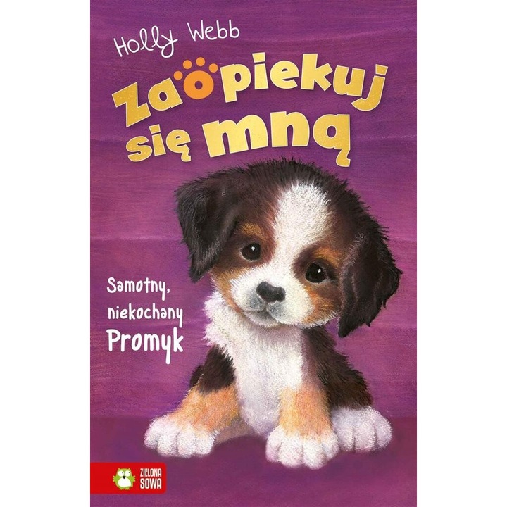 Zaopiekuj sie mna Samotny, niekochany Promyk - Holly Webb, Zielona Sowa, 2022