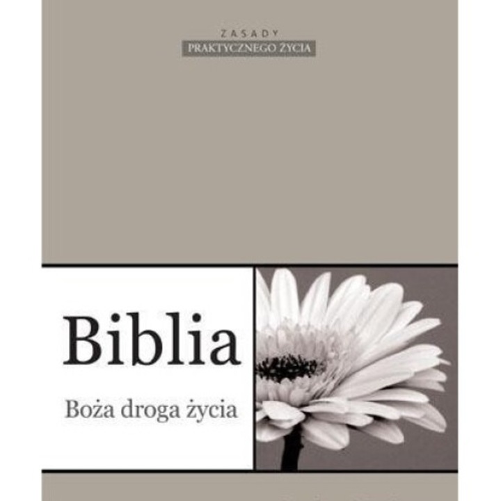 Biblia Boza droga zycia, Stephen Matthew, Instytut Wydawniczy Compassion, 2013