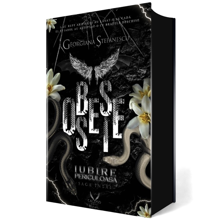 Iubire Periculoasa Volumul 1. Obsesie (Editie de colectie), Georgiana Stefanescu, 608 pagini