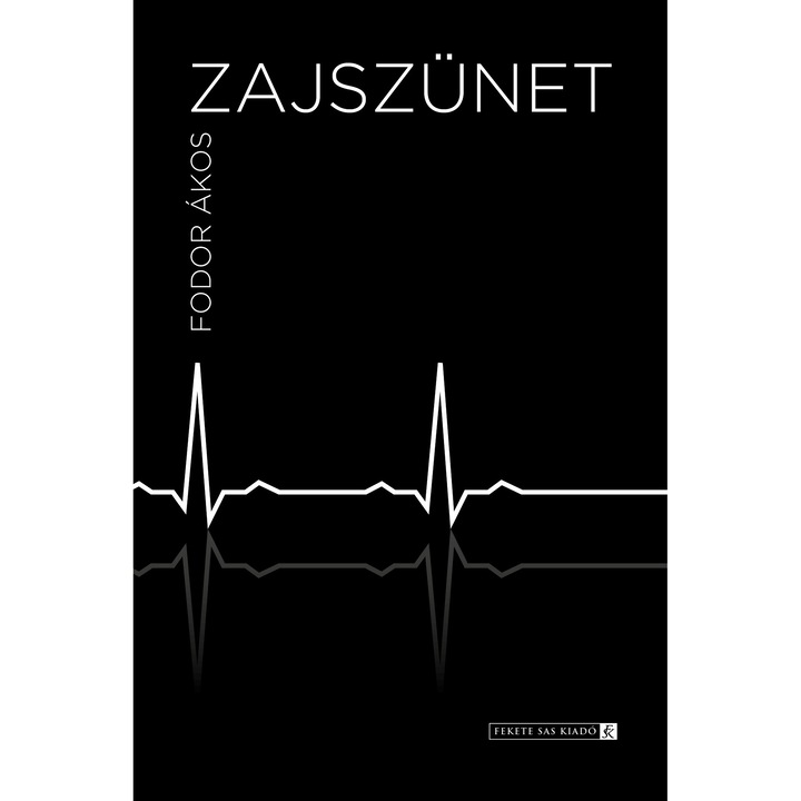 Akos Fodor: Pauza de zgomot